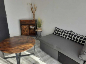 Studio avec mezzanine